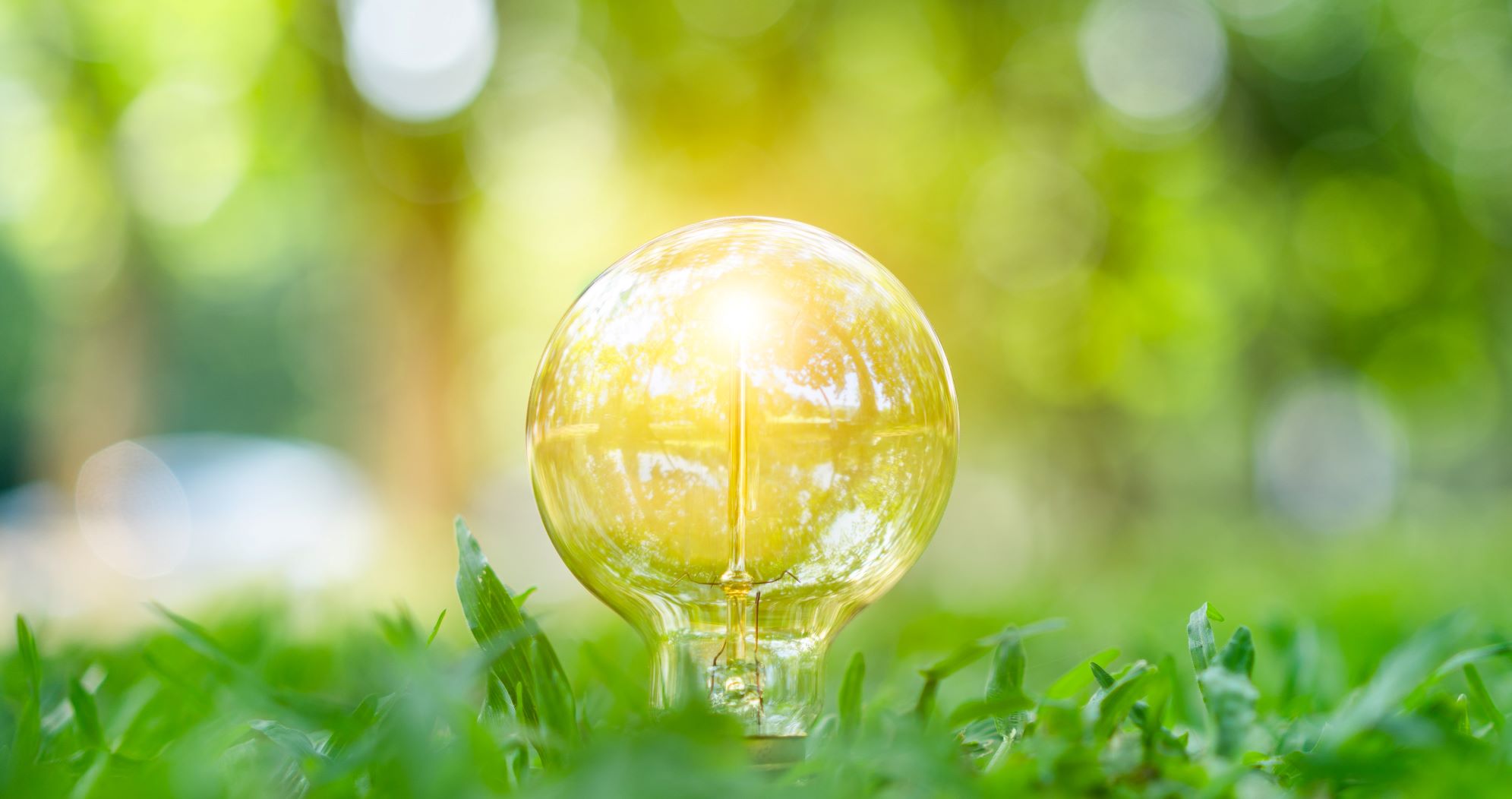 Harnessing nature-based solutions to respond to climate breakdown