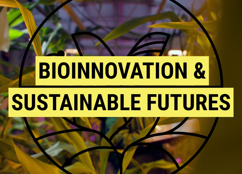 Bioinnovation & sustainable futures | Department of Biology