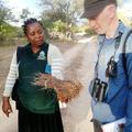 Someone holding a birds nest with a tutor