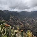 Opuntia cacti on a cliff looking out over a mountain range