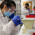 Student in lab using pipette