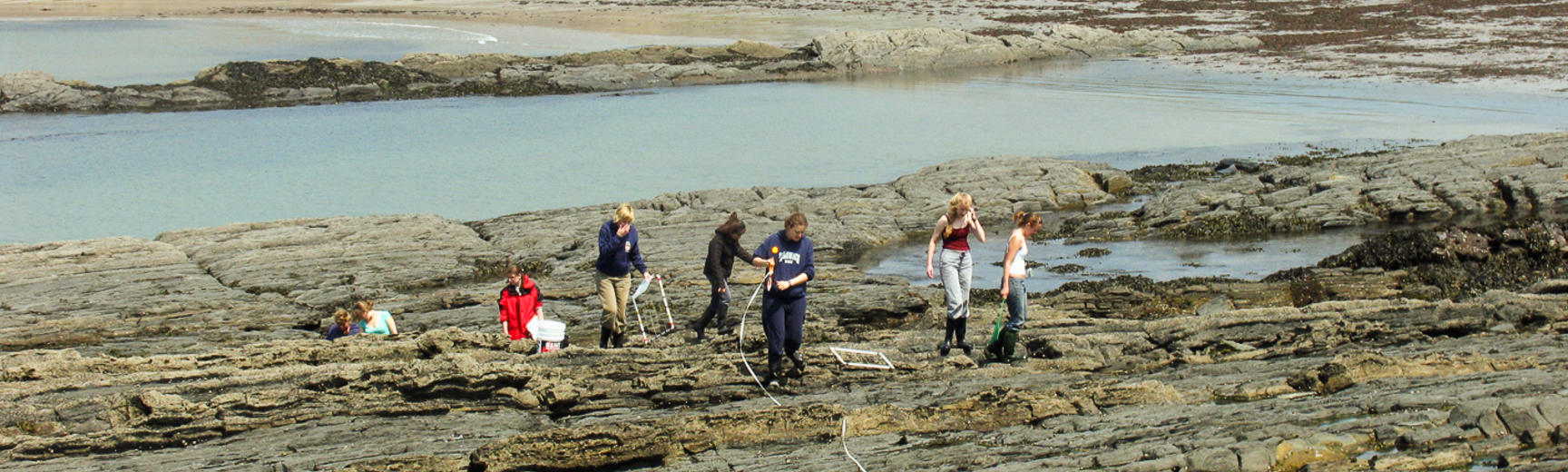 undergraduates orielton