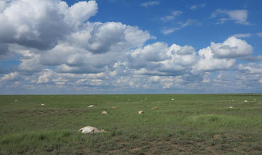 death on the steppe