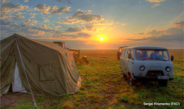 steppe camp