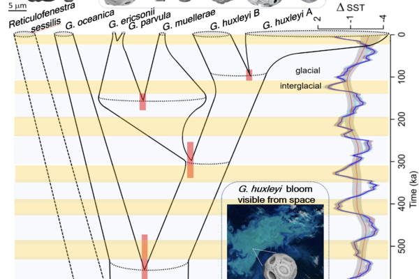 research on evolutionary biology