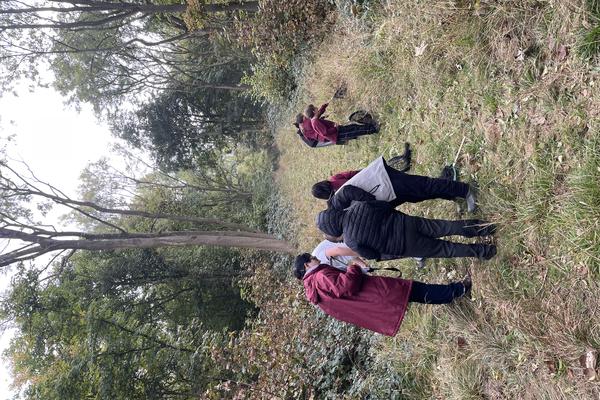 Students exploring the woods