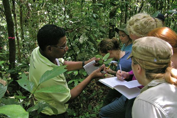 A man showing some specimens to students in a tropical rainforest. Credit: Owen Lewis