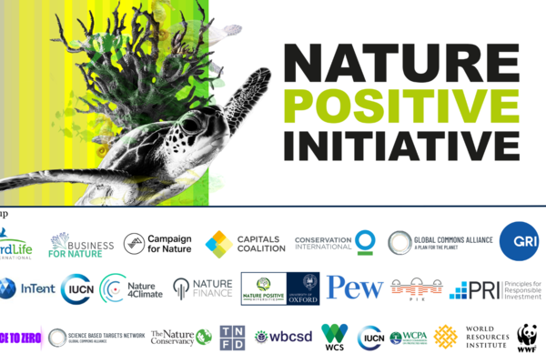 Biodiversity stripes getting from grey to more green, with turtle and coral overlaid. Beside text reads: Nature Positive Initiative. Beneath there are many logos of partners involved.