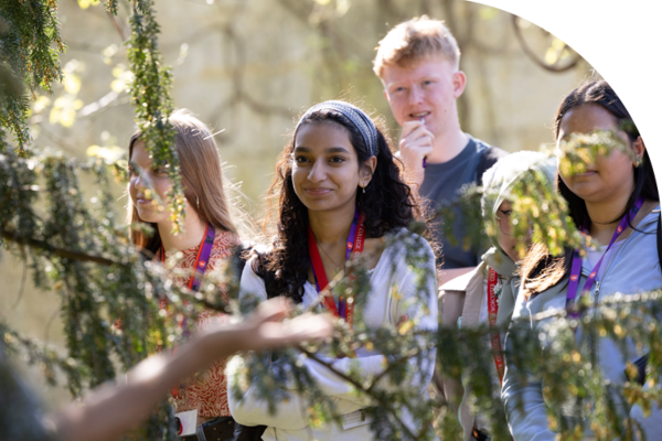 students stand and listen with a tree branch in the foreground