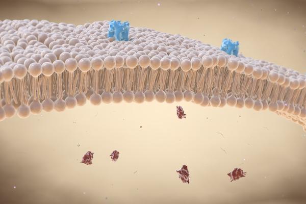 3d digital illustration of a cell membrane