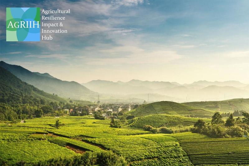 agricultural landscape