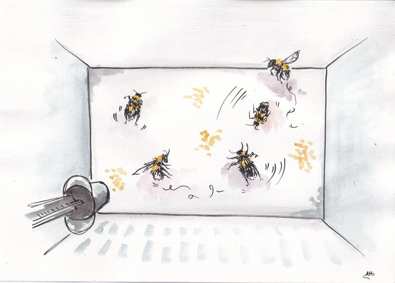 an illustration of bees moving around in a box