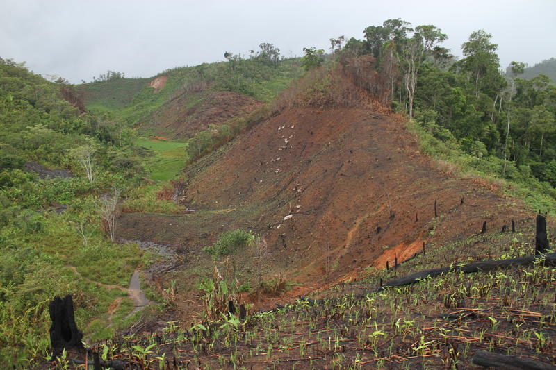 deforestation in madagascar