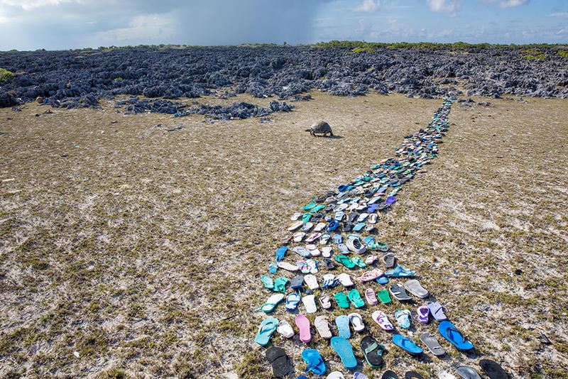 Several hundred flip-flops are laid out to form a kind of path towards a field of exposed rocks in the distance. A tortoise walks from right to left, away from the litter