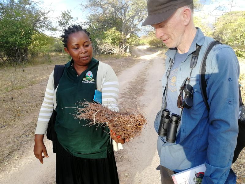 A person holding a birds nest showing students in Tanzania
