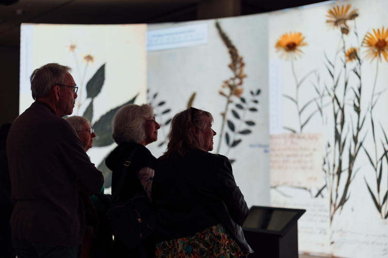 people look at large plant specimens displayed on a wall