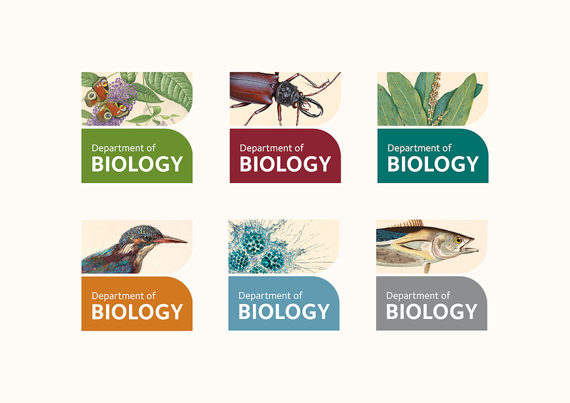All biology logo variants