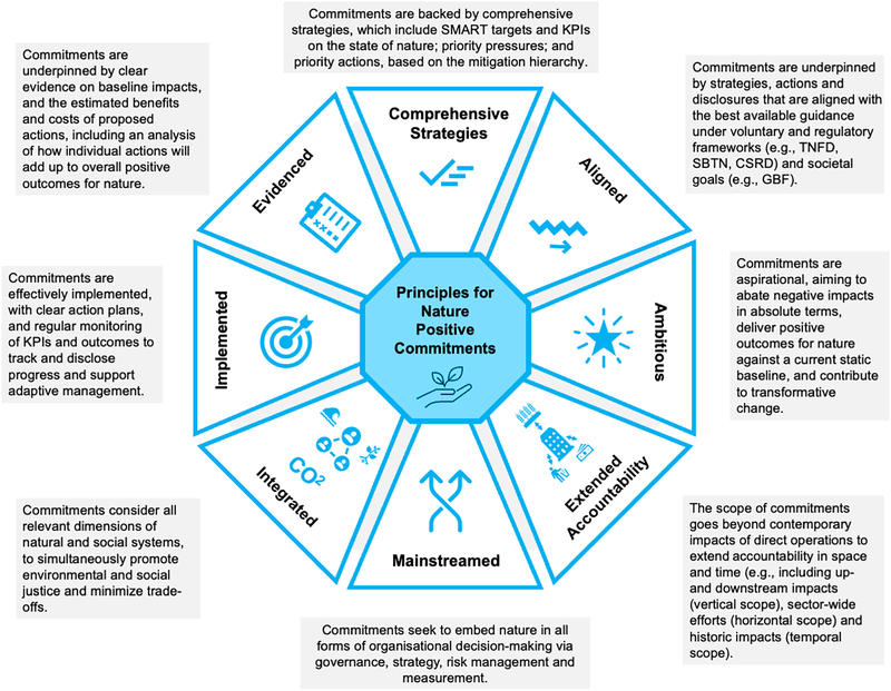 Figure on principles for Nature Positive commitments: comprehensive strategies, aligned, ambitious, extended accountability, mainstreamed, integrated, implemented, and evidenced.