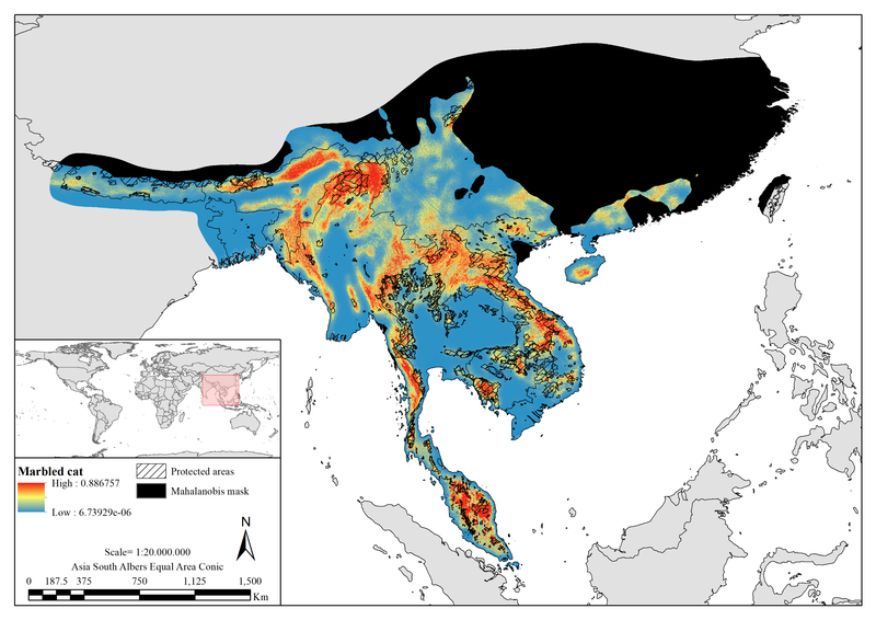 Habitat suitability for the marbled cat, shown on a map focused in south east Asia