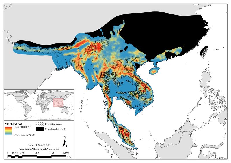 Suitability Habitat suitability for the marbled cat, shown on a map focused in south east Asia