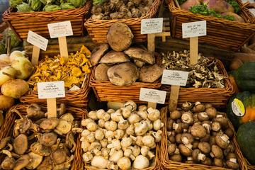 Wicker baskets display piles of foraged wild mushrooms, with identifying labels showing the species