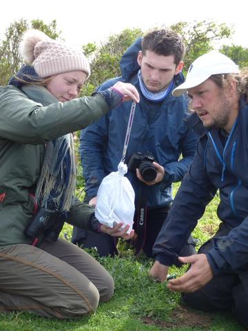 Three people wearing coats are using a white bag to weigh a manx shearwater