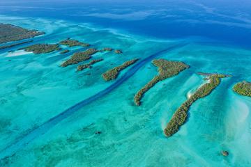 Aerial view of one of the channels that connect the lagoon and outer reef at Aldabra atoll