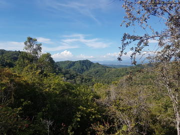 anabohazo forest