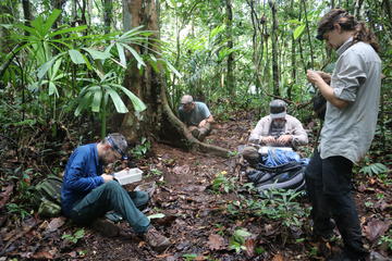 People in the rainforest standing and sitting among trees