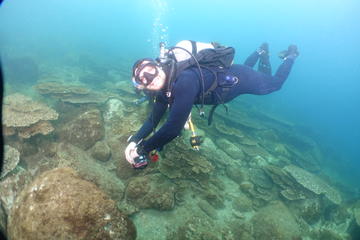 The lead author, James Cant, and senior author, Rob Salguero-Gomez, monitoring the responses of corals to disturbances in Southern Japan