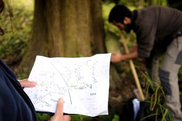 two researchers carrying out fieldwork at wytham woods