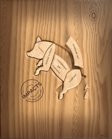 Harriet bartlett pork farms credit liliana resende small An image of a jigsaw of a pig with the four areas written on where farms can excel.