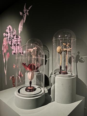 Teaching models of plants by Robert Brendel