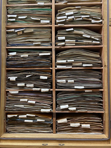 Specimens in cupboards in the old herbarium