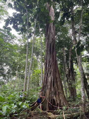 Denise conducting fieldwork