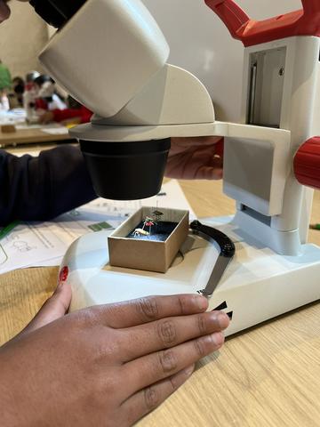 A childs hands on a microscope looking at an insect mounted on a pin