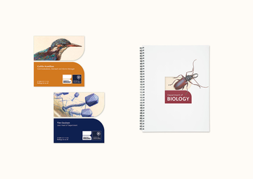 Kingfisher and bacteriophage logos, a mockup of the beetle logo on a ring-bound booklet