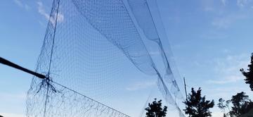 An image of the mist net used for capturing the bats, they look like giant volleyball nets. Credit: Ricardo Rocha
