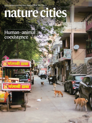 street dogs on an urban street in India, with buildings and vehicles at either side