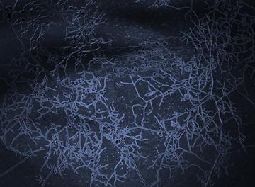 network