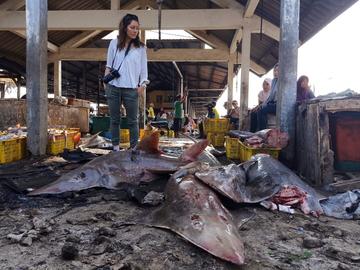 Hollie stands over dead sharks