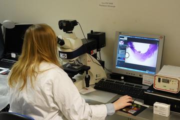 Sophie Lund Rasmussen looks in the microscope