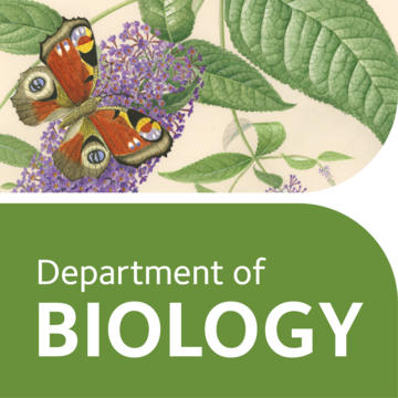 uoo biologylogo buddleia butterfly