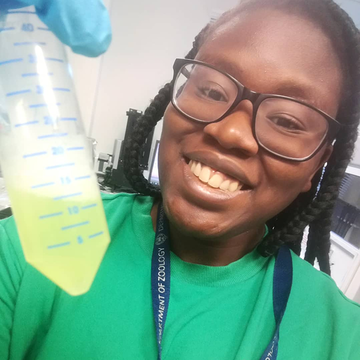 A person wearing glasses holds a 50ml Falcon tube containing lime-green liquid