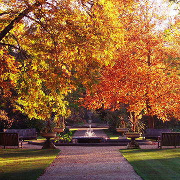 oxford botanic garden in autumn 2004 credit toby ord