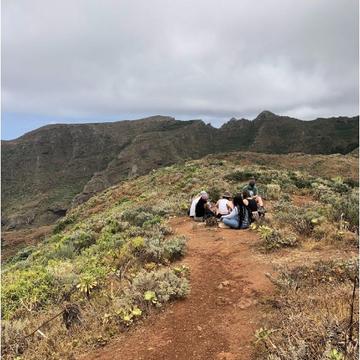 Picture students sitting and looking at plants, with a mountain in the background