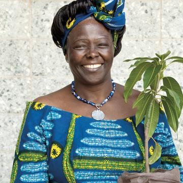 wangari maathai