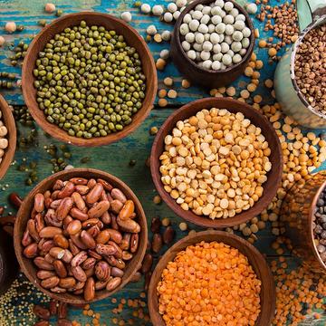 Legumes Example of legumes