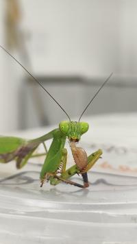 img 20260513