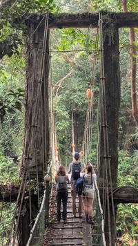 Students on a bridge in Borneo
